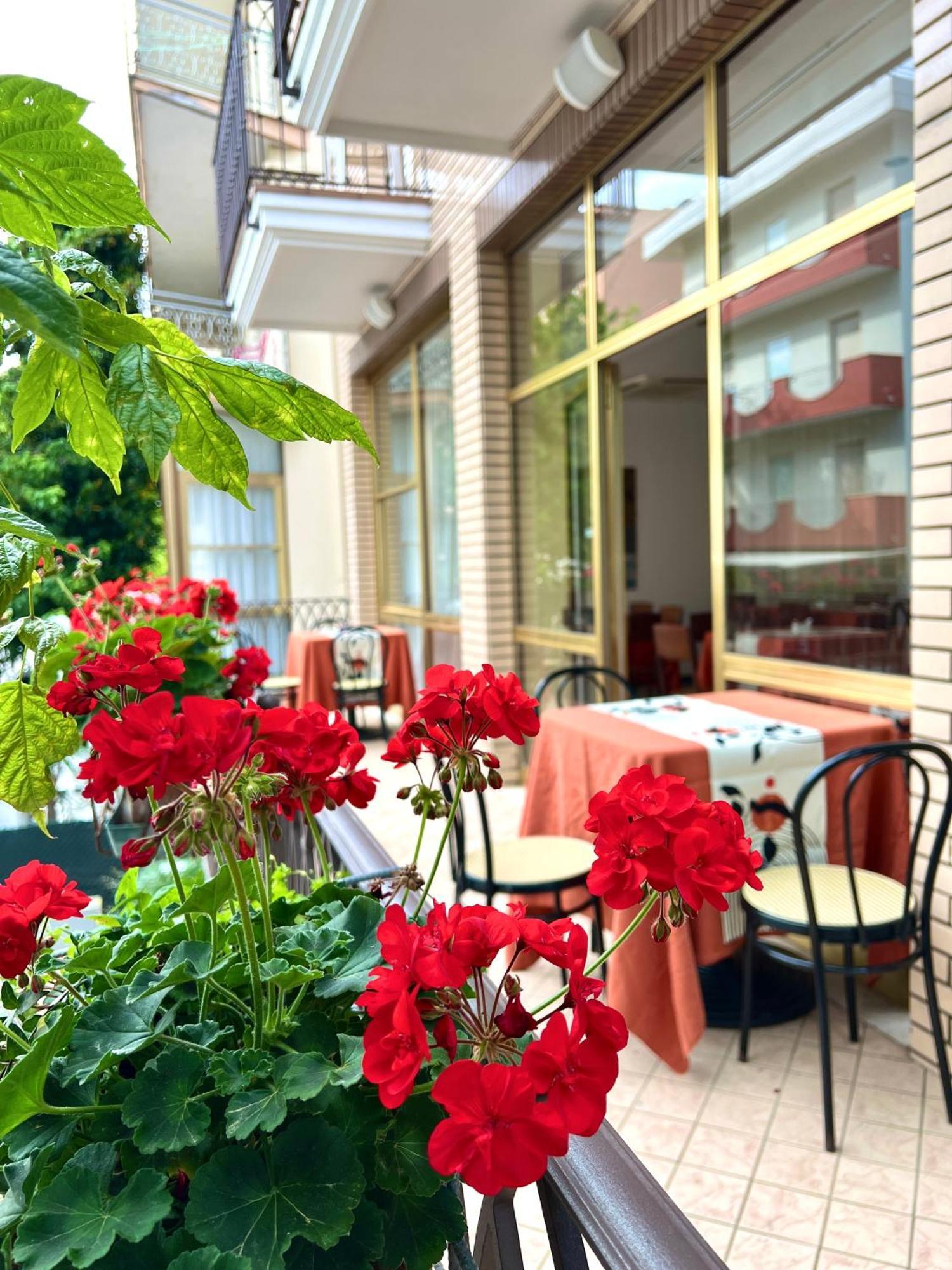 Hotel B&B Ardea רימיני מראה חיצוני תמונה